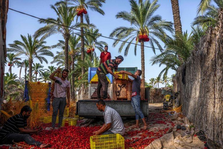 منظمة إغاثة: خطر الإبادة الجماعية يتزايد في غزة 