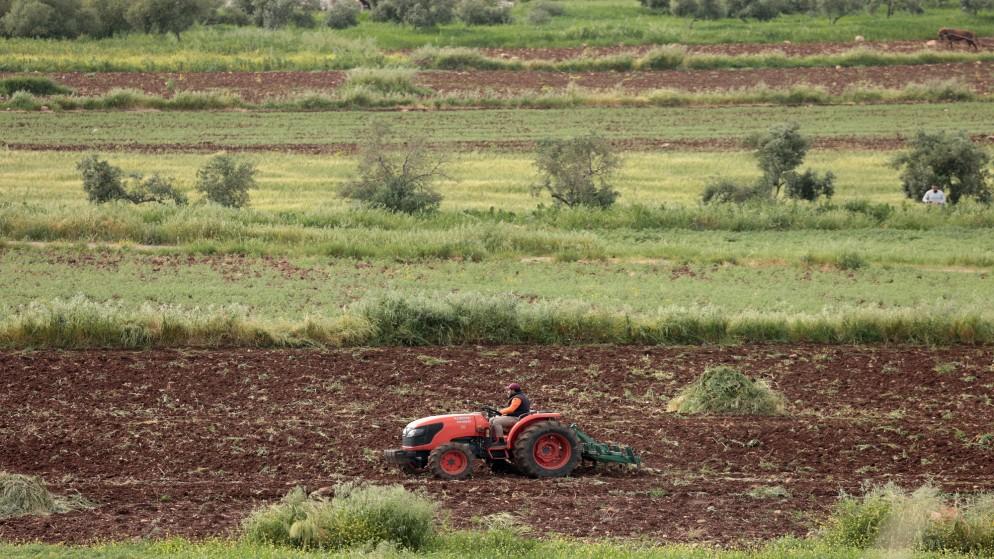  طقس دافئ في معظم المناطق حتى الأحد 