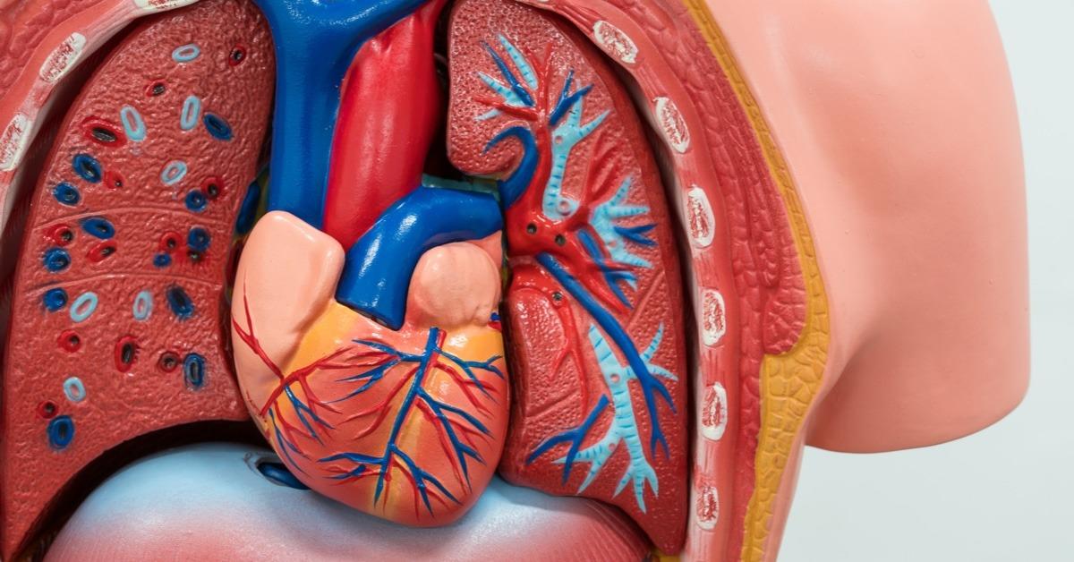 8 علامات تُشير إلى اعتلال القلب.. احذروها