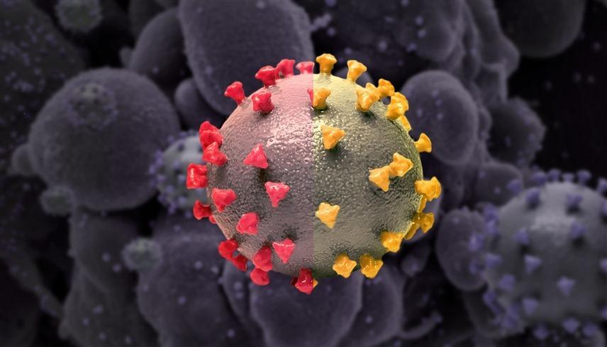 تحذير! كورونا لم يختف.. ظهور متحوّرات جديدة للفيروس