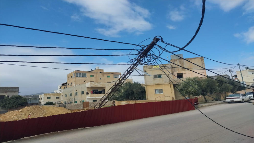 الزراعة تدعو للإبلاغ عن تداخل الأشجار مع شبكة الكهرباء